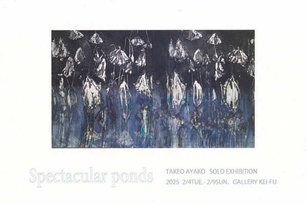 武雄文子 個展　Spectacular ponds