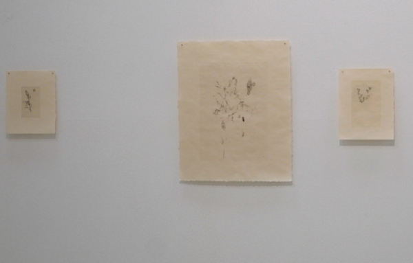 土居 誠 展