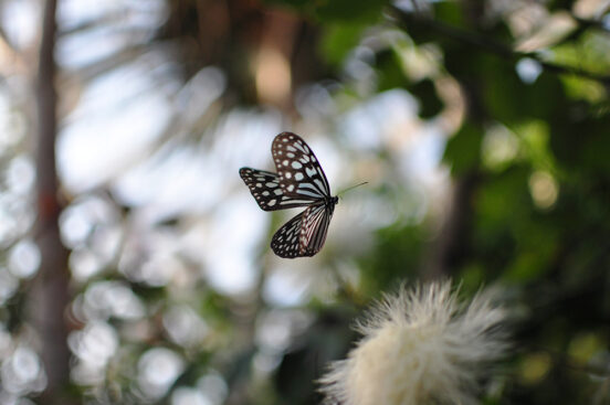 Photo Circle SKIP 写真展「SKIP 10」