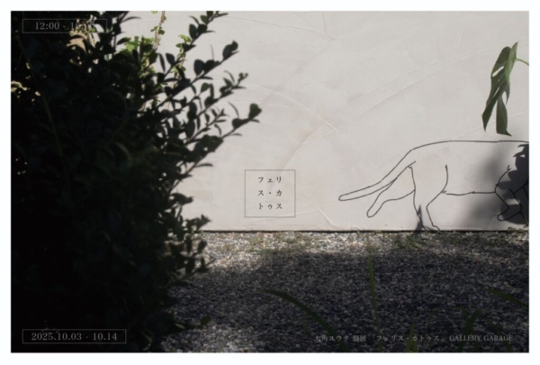 フェリス・カトゥス