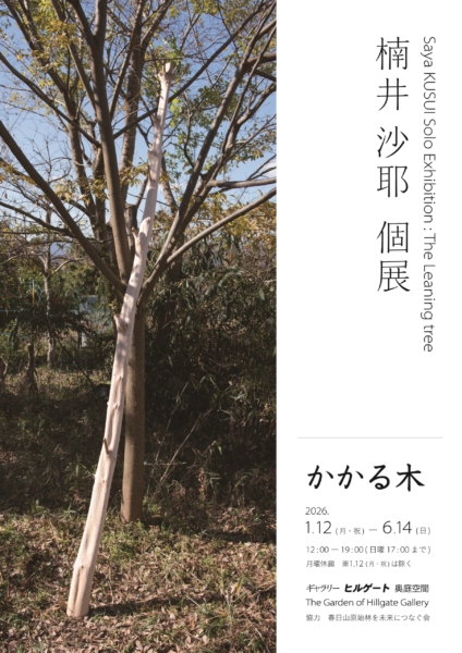 楠井 沙耶 個展　かかる木　Saya KUSUI Solo Exhibition: The Leaning tree