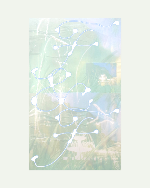 陸瑋妮 個展「Fountain and the Fluorescent」