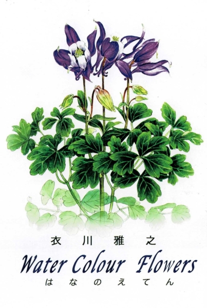 衣川 雅之 はなのえてん