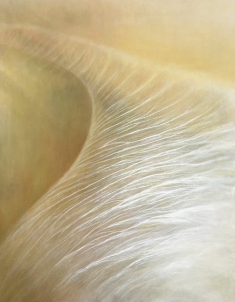 村上明日香個展 「混ざりきる前に。」