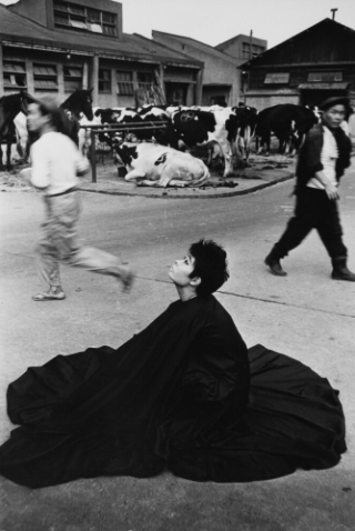 深瀬昌久　洋子／遊戯