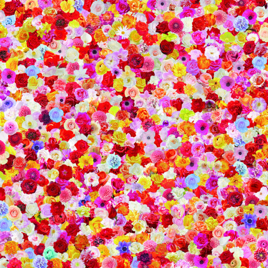 清永安雄 写真展「花神」