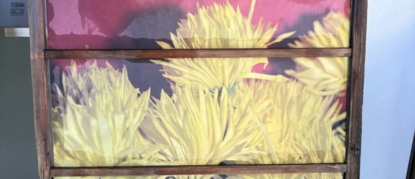 《誰かたちの展覧会》展