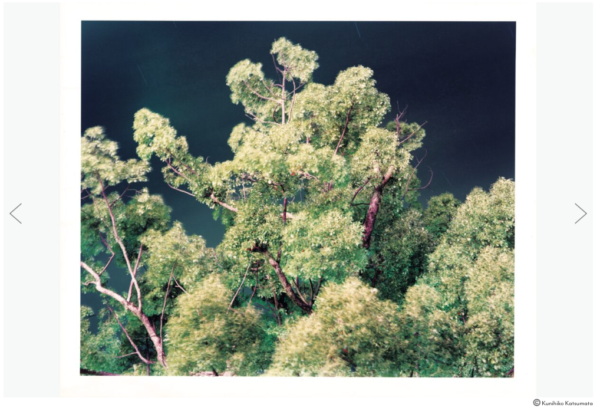 勝又公仁彦　Remains