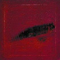 スコット・ロビンソン 個展