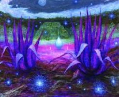 コスゲ カズコ 展　