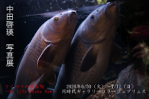 [中田啓瑛　写真展] ～ケイヨウの写真館～ My Life Photo Now