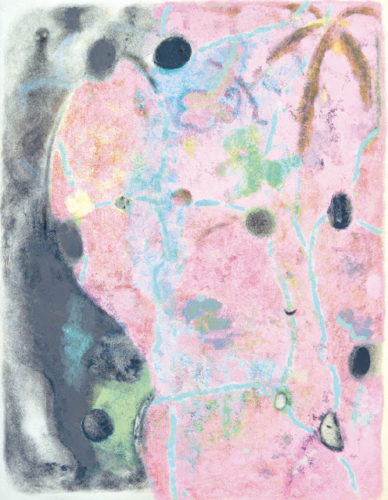 さかいはるか 個展 「星の胞子」