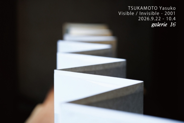 つかもとやすこ展　Visible /Invisible – 2001